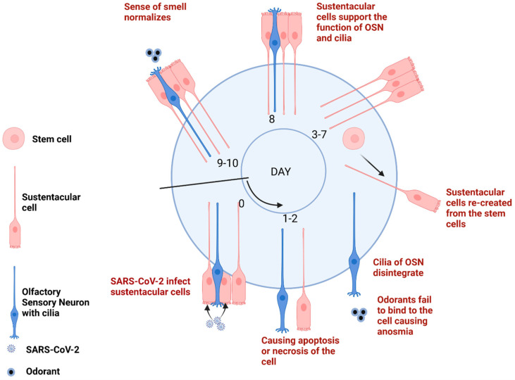 Reviews And Journal Articles - AIC-CCMB