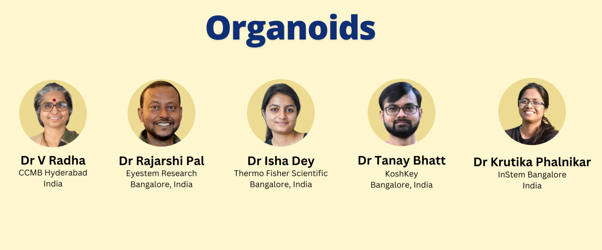 Organoids
